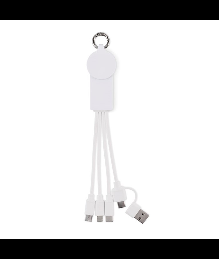 2IN1 CHARGING CABLE ICAB TYPE-C