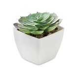 ARTIECHE - MINI ARTIFICIAL PLANT