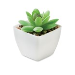 ARTIGRAP - MINI ARTIFICIAL PLANT