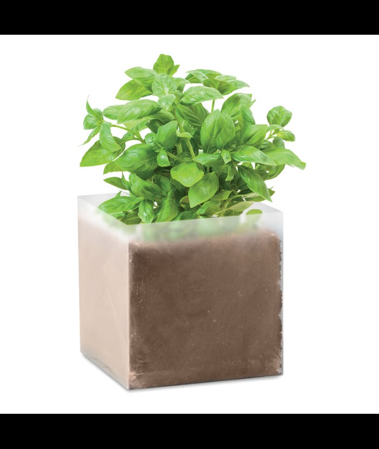 BASIL - BOLSA DE SEMILLAS DE ALBAHACA