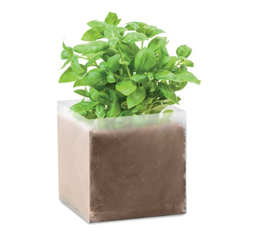 BASIL - COMPOST WITH SEEDS "BASIL"