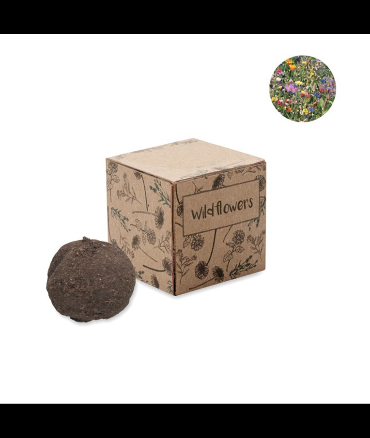 BOMBI - KIT DE SEMILLAS