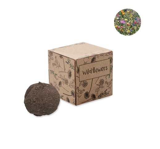 BOMBI - SEED BOMB GROWING KIT