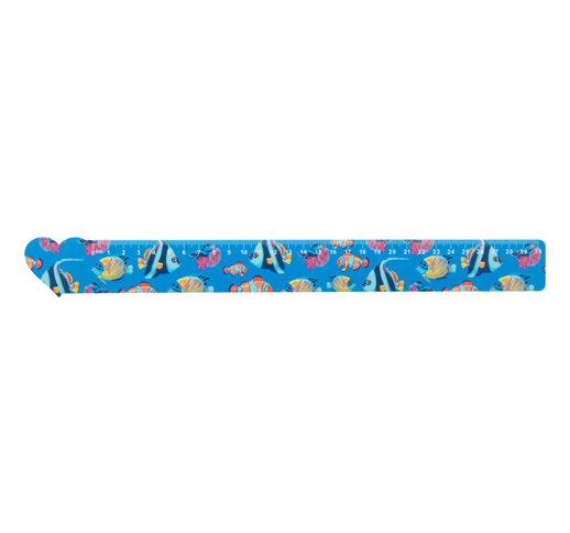 COULER 30 CM RULER, HOUSE