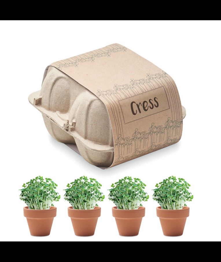 CRESS - KIT DE CULTIVO EN HUEVERA