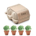 CRESS - KIT DE CULTIVO EN HUEVERA