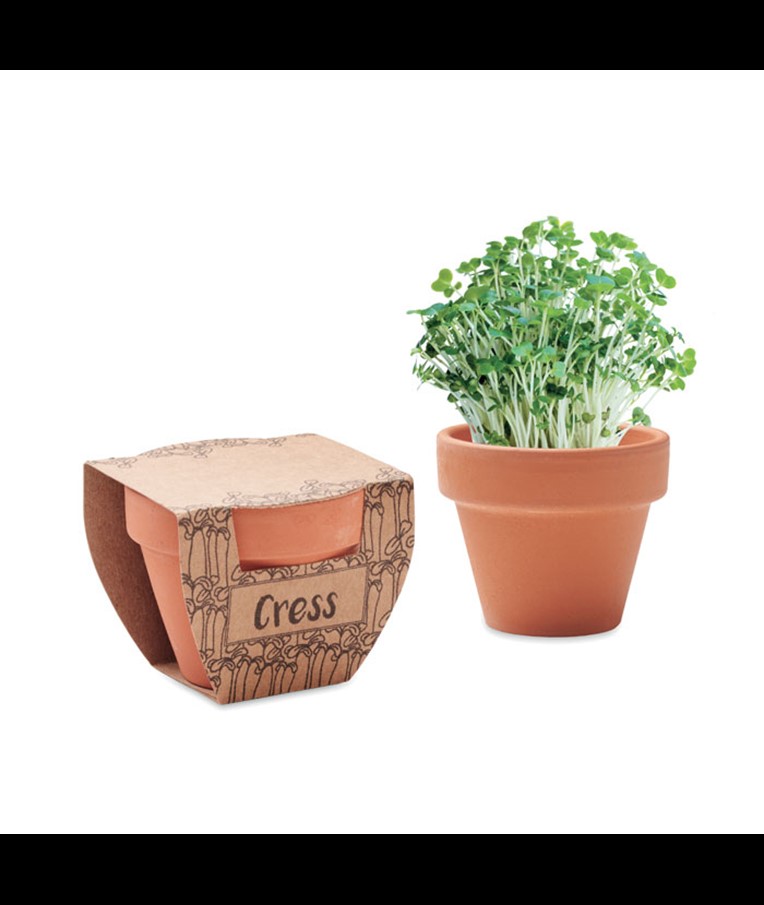 CRESS POT-SEMILLAS DE BERRO EN MACETA DE TERRACOTA