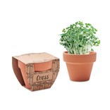 CRESS POT-SEMILLAS DE BERRO EN MACETA DE TERRACOTA