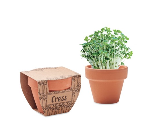 CRESS POT-TERRACOTTA POT CRESS SEEDS
