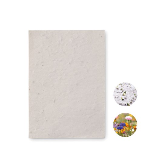 FEUILLE DE PAPIER DE GRAINES DE FLEURS SAUVAGES ASIDO-A6