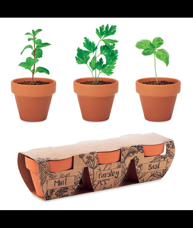 FLOWERPOT - JUEGO DE MACETAS DE TERRACOTA