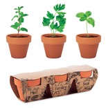 FLOWERPOT - JUEGO DE MACETAS DE TERRACOTA