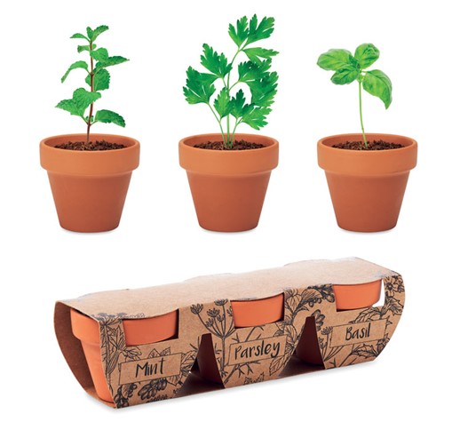 FLOWERPOT - KOMPLET 3 ZELIŠČNIH LONČKOV IZ TERAKOTE