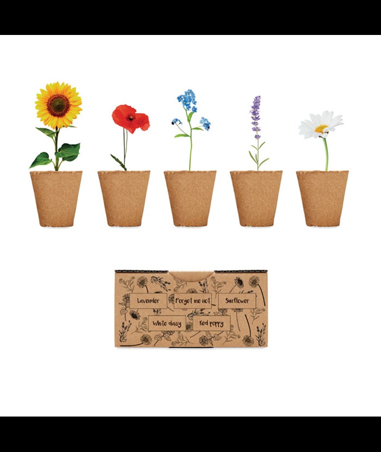 FLOWERS - KIT DE CULTIVO DE FLORES