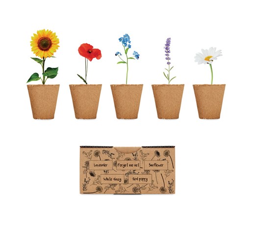 FLOWERS - SAAT-SET SOMMERBLUMEN