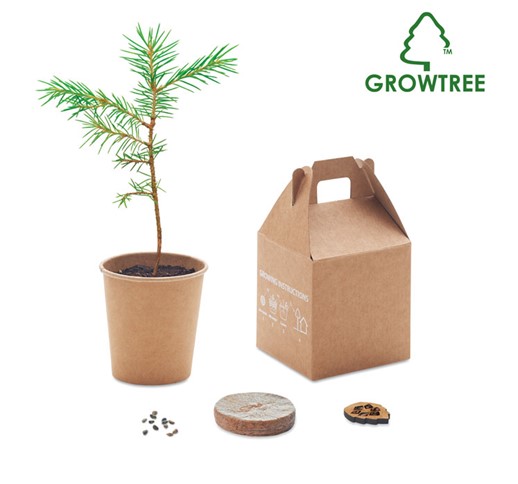 GROWTREE™ - SET ZA BOROVEC
