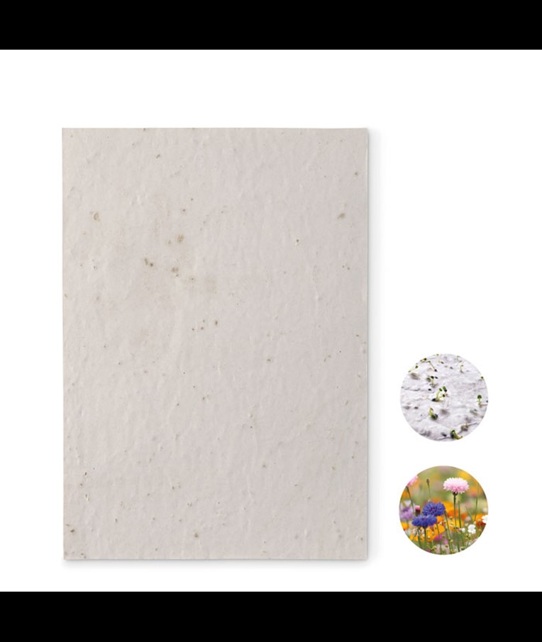 HOJA DE PAPEL DE SEMILLAS DE FLORES SILVESTRES ASIDE-A5