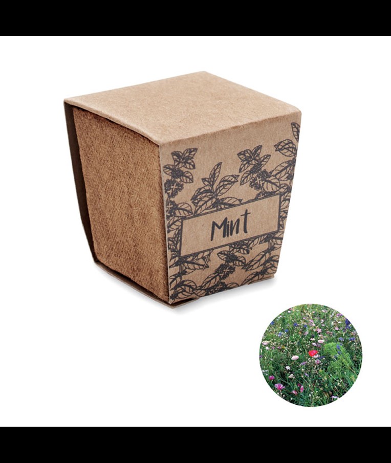 KIT MENTA - KIT DE CULTIVO DE SEMILLAS DE MENTA