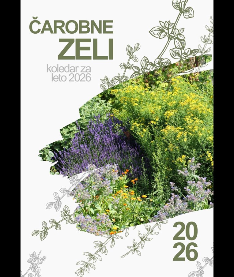 KOLEDAR ČAROBNE ZELI 2026