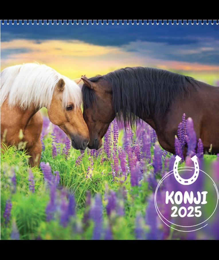 KOLEDAR KONJI 2025