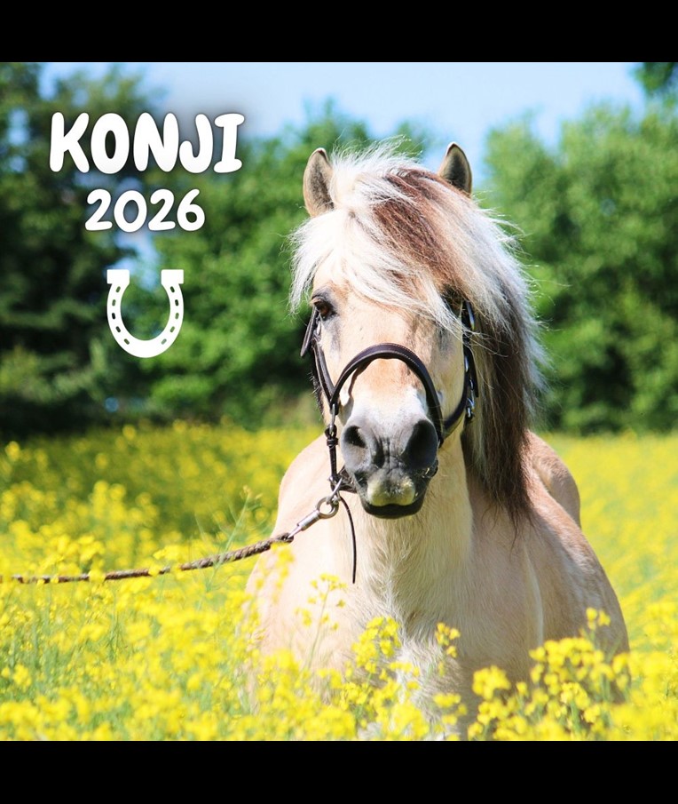 KOLEDAR KONJI 2026