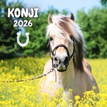 KOLEDAR KONJI 2026