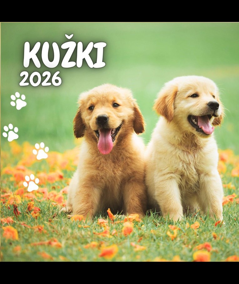 KOLEDAR KUŽKI 2026