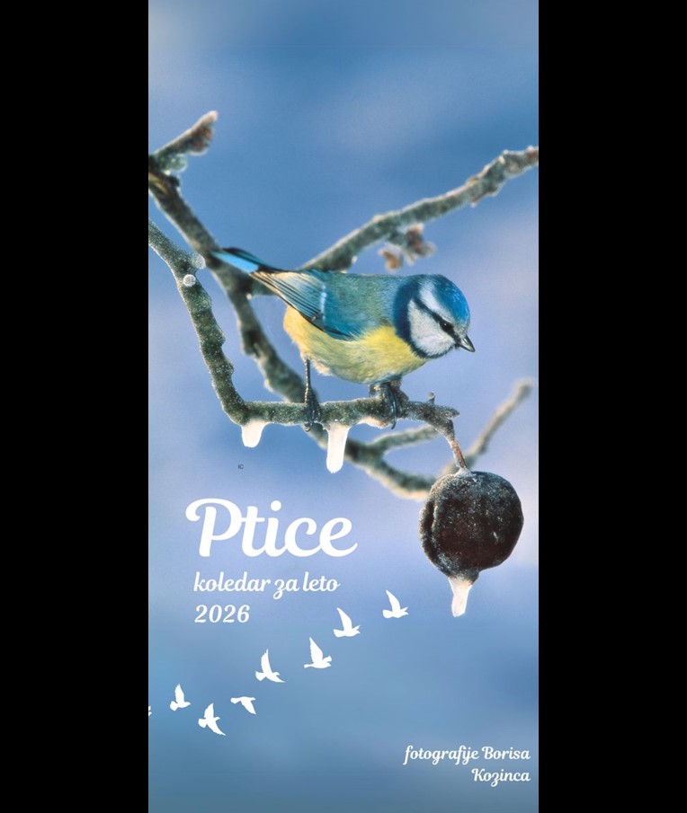 KOLEDAR PTICE 2026