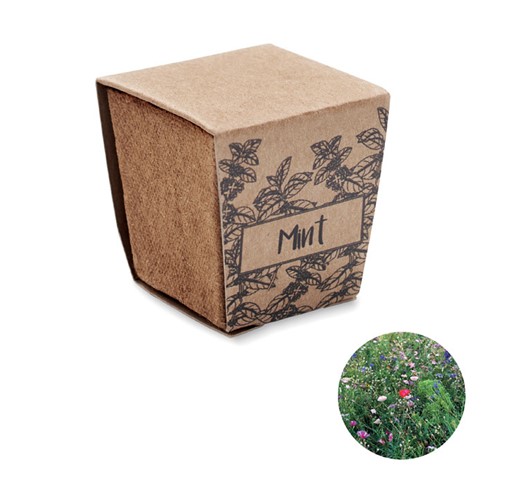 KOMPLET ZA GOJENJE SEMEN METE MINT KIT