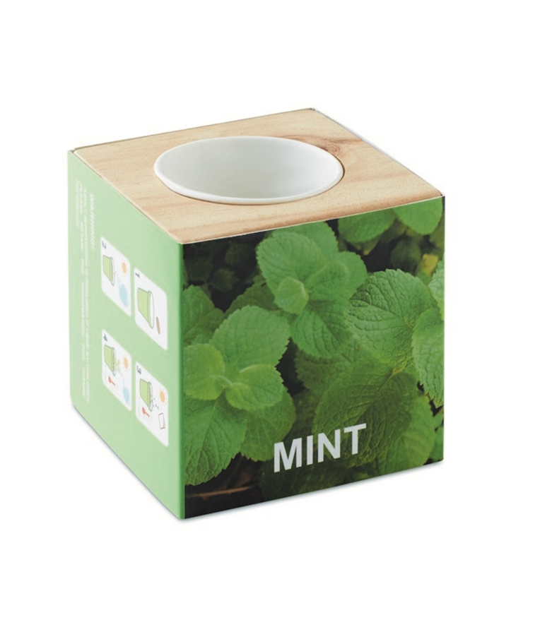 MENTA - MACETA CON SEMILLAS DE MENTA