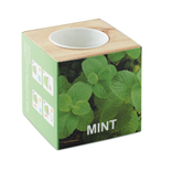 MENTA - MACETA CON SEMILLAS DE MENTA