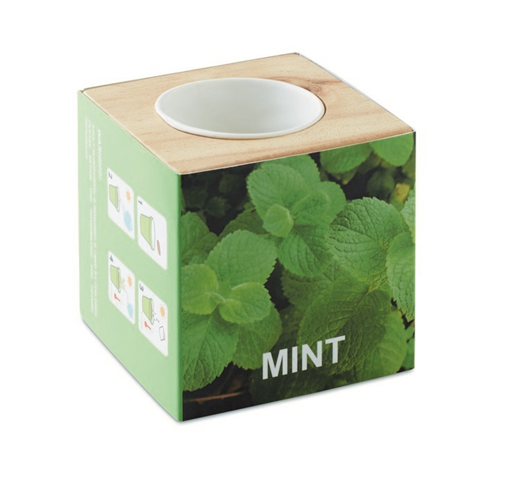 MENTA - POT EN BOIS AVEC GRAINE 