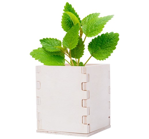 MERIN MINT HERB POT
