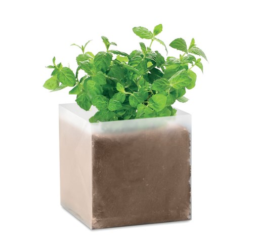 MINT - COMPOST WITH SEEDS "MINT"