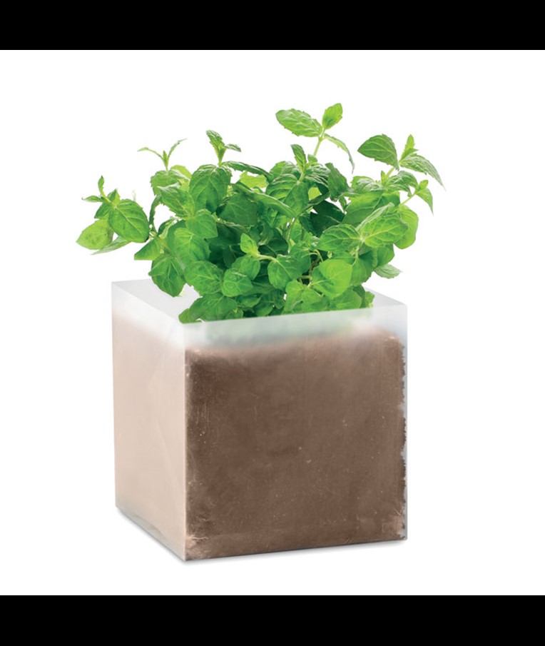 MINT - KOMPOST SA SJEMENKAMA "META"