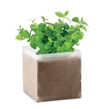 MINT - KOMPOST SA SJEMENKAMA "META"