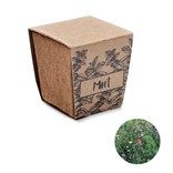 MINT KIT - ANZUCHTSET FÜR MINZSAMEN