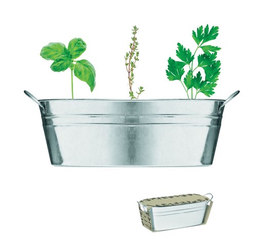 MIX SEEDS - BAC EN ZINC & HERBES AROMATIQUE