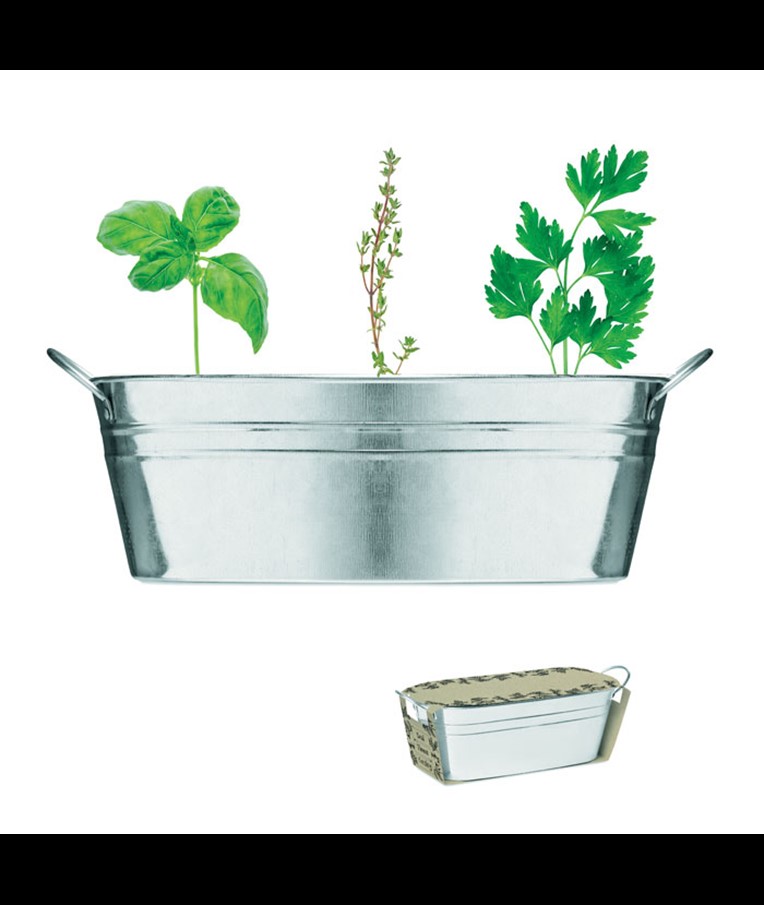 MIX SEEDS - MACETA DE ZINC CON 3 SEMILLAS