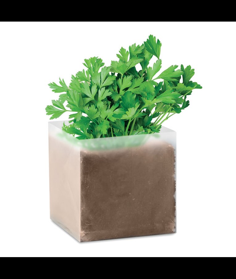 PARSELY - BOLSA CON SEMILLAS DE PEREJIL