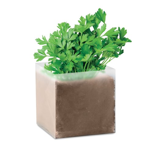 PARSELY - PFLANZ-SET "PETERSILIE"