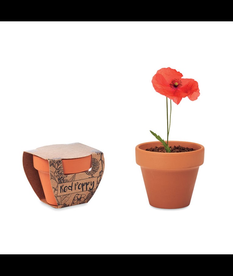 RED POPPY - JUEGO DE MACETAS DE TERRACOTA