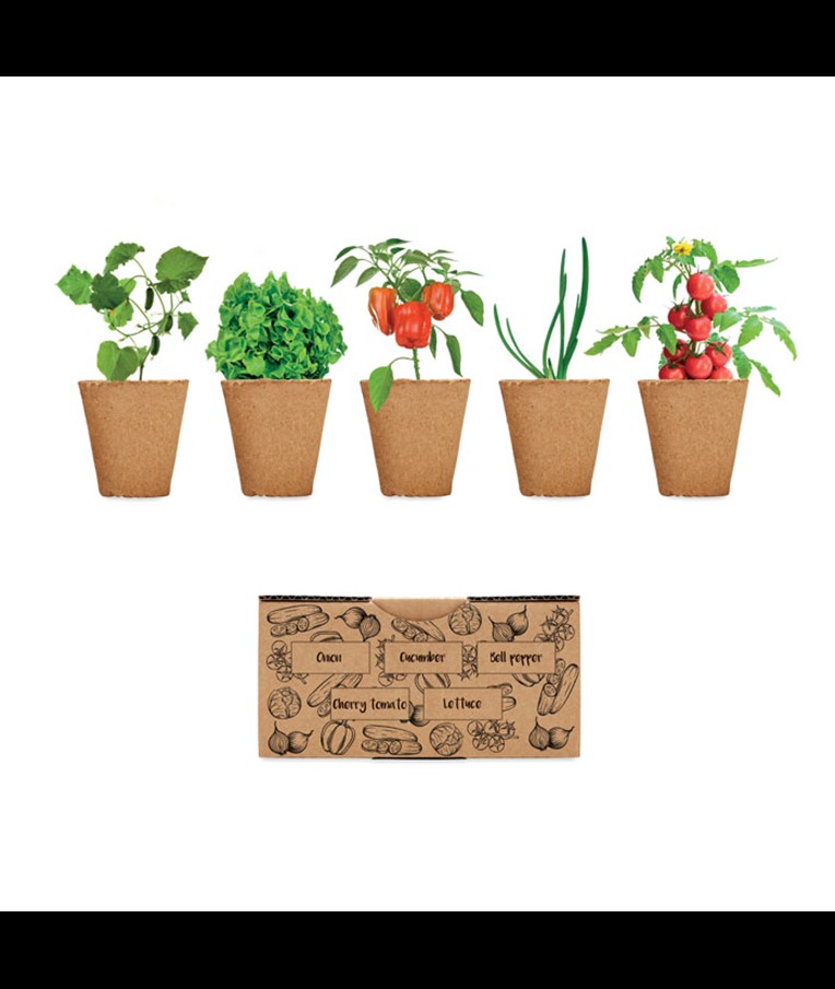 SALAD - KIT DE CULTIVO DE VERDURAS