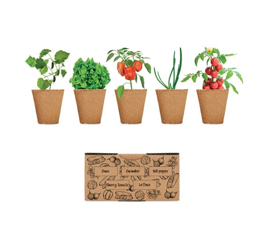 SALAD - SALAD GROWING KIT