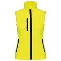 fluorescent yellow