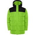 FLUOR LIMETTE/SCHWARZ