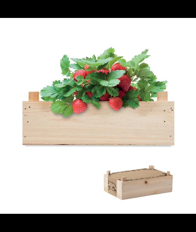 STRAWBERRY - KIT DE FRESAS EN CAJA MADERA