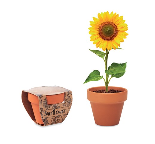 SUNFLOWER - LONEC IZ TERAKOTE S SONČNICAMI