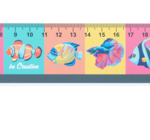 TRUCKER 30 CM RULER, TRUCK