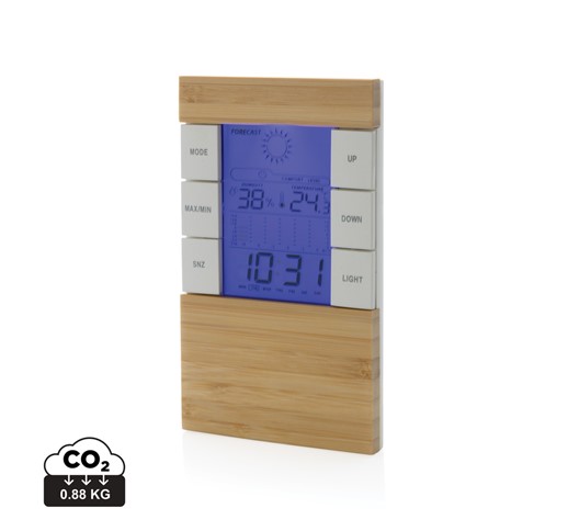 UTAH RCS WETTERSTATION AUS BAMBUS